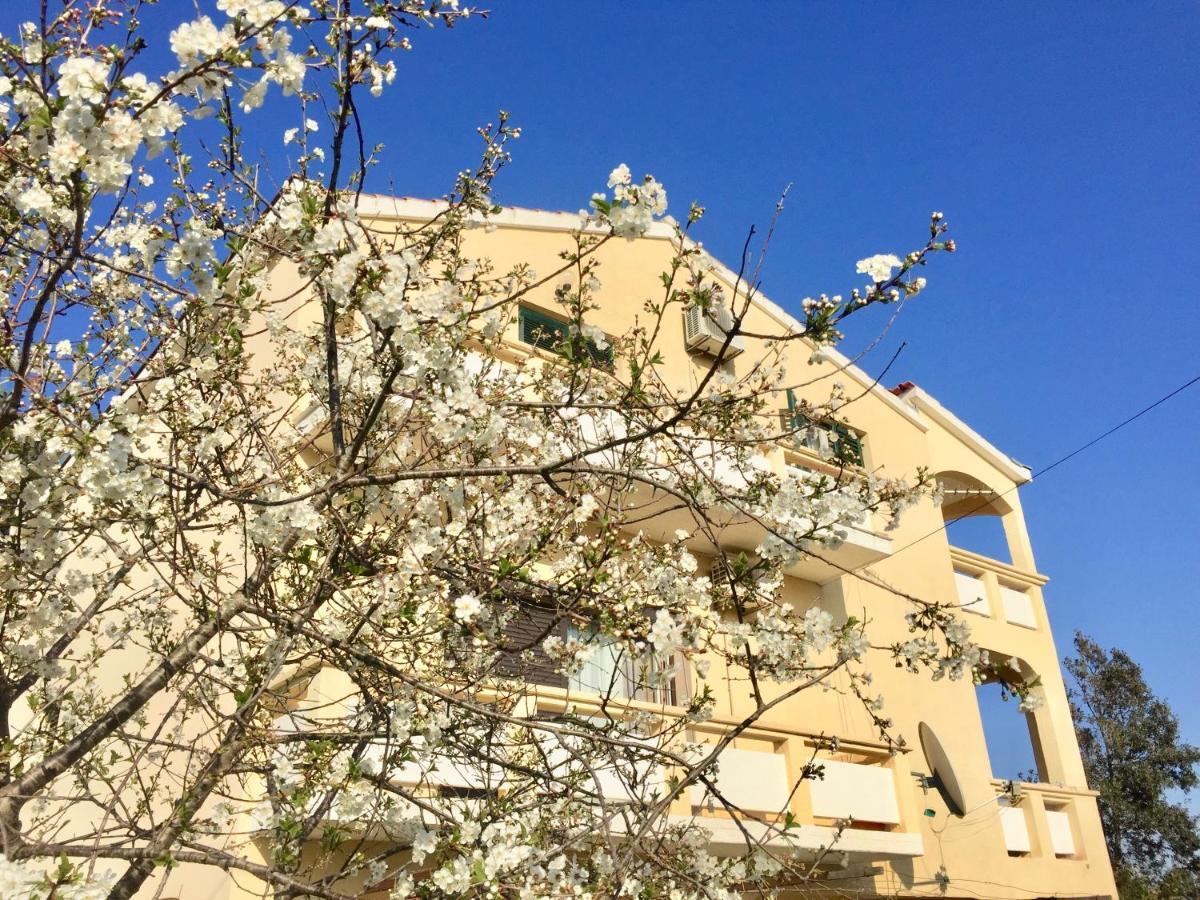 Sobe Bosiljka Hotel Nin Exterior foto